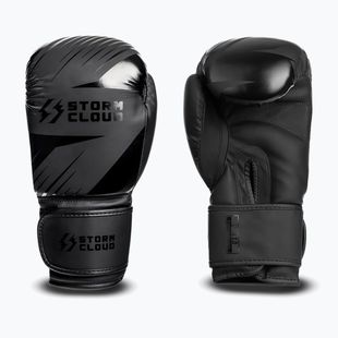 Guantoni da boxe StormCloud Lynx 2.0 black/black