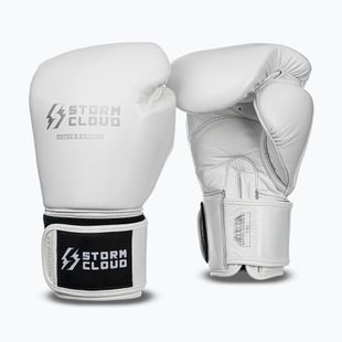 Guantoni da boxe StormCloud Muay Thai Blizzard 2.0 white/silver