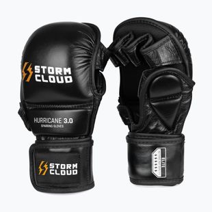 Guantoni da allenamento StormCloud Hurricane 3.0 black/white