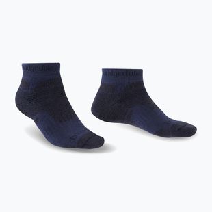 Calze da trekking da uomo Bridgedale Hike Midweight Performance Ankle navy