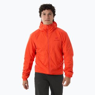 Giacca isolante Arcteryx Atom Hoody da uomo solaris