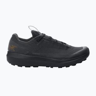 Scarpe da running da uomo Arc'teryx Norvan LD 4 GTX black/black