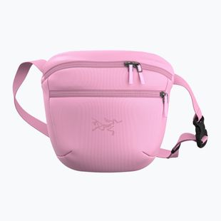 Bustina Arcteryx Mantis 2 2,5 and pineberry