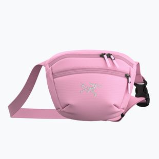 Bustina Arcteryx Mantis 1 1,5 l