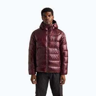 Giacca imbottita da uomo Arcteryx Cerium SV Hoody ultima