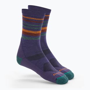 Calzini da trekking Darn Tough Fastpack Micro Crew da uomo, mora