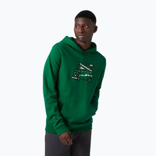 Felpa con cappuccio Helly Hansen F2F Uomo in cotone organico malachite