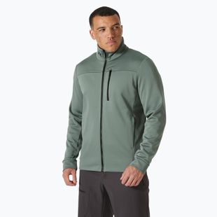Felpa Helly Hansen Crew uomo grigio cactus