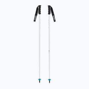 Bastoni da sci HEAD Worldcup SL white/black/speed blue