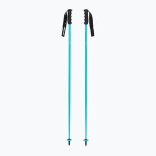 Bastoncini da sci HEAD Worldcup SL speed blue/black/white