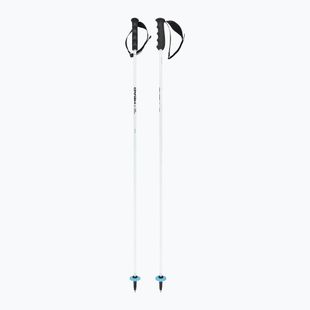 Bastoni da sci HEAD Worldcup Rebels Carbon white