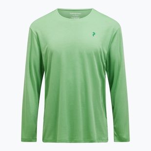 Peak Performance Delta LS da uomo a maniche lunghe alla menta piperita