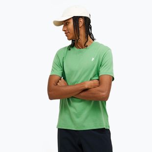 Maglietta Explore Graphic Peppermint di Peak Performance da uomo