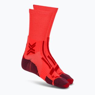 Calze da uomo X-Socks Trailrun Perform Crew fluo red/namib red