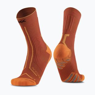 Calzini X-Socks Trailrun Terraskin Expert Crew burnt red/orange