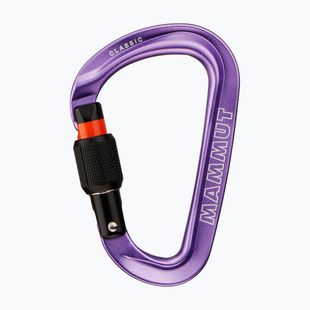 Carabina Mammut Classic HMS Screwgate screw gate/alpine calamint