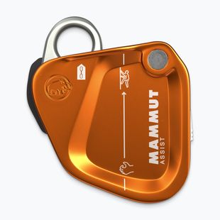 Dispositivo di assicurazione Mammut Assist Belay Resistor gold