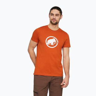 T-shirt da uomo Mammut Core T-Shirt Men Classic autumn larice