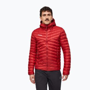Giacca imbottita da uomo Mammut Albula IN Hooded Jacket Men dark mammut red
