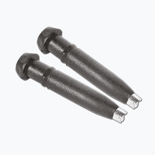 Fizan TSALU teste di palo 2 pz.