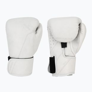 Guantoni da boxe Hayabusa T360 Leather white
