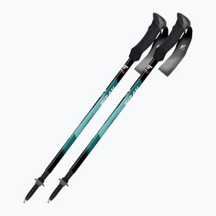 Bastoni da trekking  Fizan Compact water green
