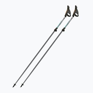 Bastoncini da Nordic walking Fizan Carbon Pro Impulse grey