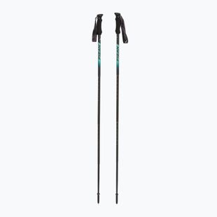 Bastoncini da trekking Fizan Compact 4 water green