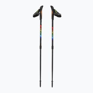 Bastoncini da nordic walking per bambini Fizan Speed JR rainbow