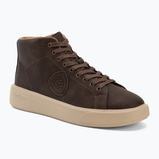 Scarpe da uomo Blauer USA F6BUCK08 brown