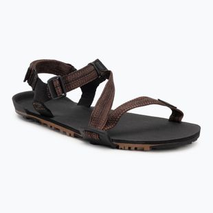 Sandali a piedi nudi da uomo Xero Shoes Z-Trail EV multi / marrone