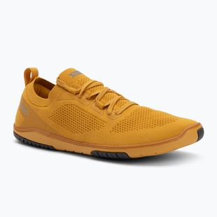 Scarpe da uomo a piedi nudi Xero Shoes Nexus Knit oro