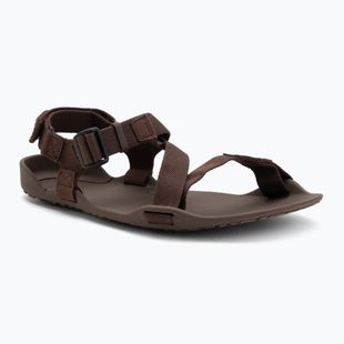 Sandali a piedi nudi da uomo Xero Shoes Z-Trek marrone