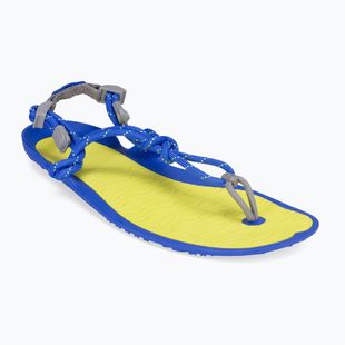 Sandali barefoot da uomo Xero Shoes Aqua Cloud safety/yellow