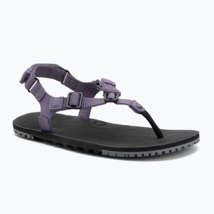 Sandali a piedi nudi da donna Xero Shoes H-Trail sage purple
