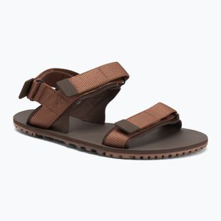 Sandali a piedi nudi da uomo Xero Shoes D-Trail marrone cacao/marrone java