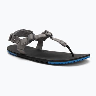 Sandali da uomo a piedi nudi Xero Shoes H-Trail acciaio grigio/blu/lolite