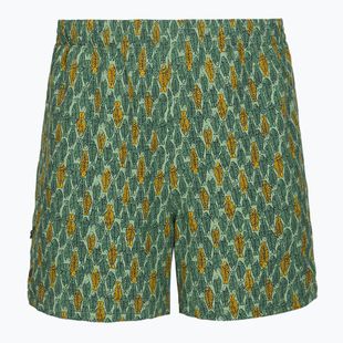 Royal Robbins All-In pantaloni da trekking da uomo algae flash pt