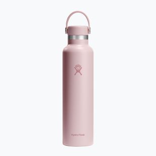 Hydro Flask Standard Flex Cap 710 ml bottiglia termica trillium