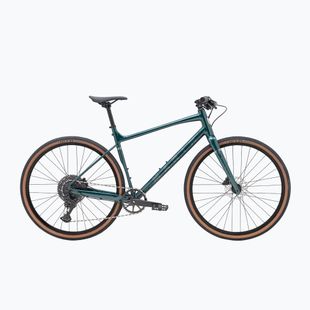 Bicicletta gravel Marin DSX 1 700C green/silver