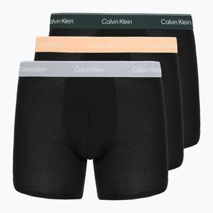 Boxer Calvin Klein LV00NB4394 Brief 3 pairs black w/darkest spruce wb/black w