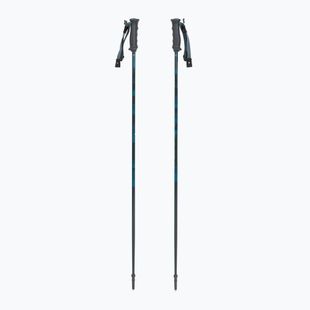 Bastoni da sci Fischer RC4 Noize grey / blue