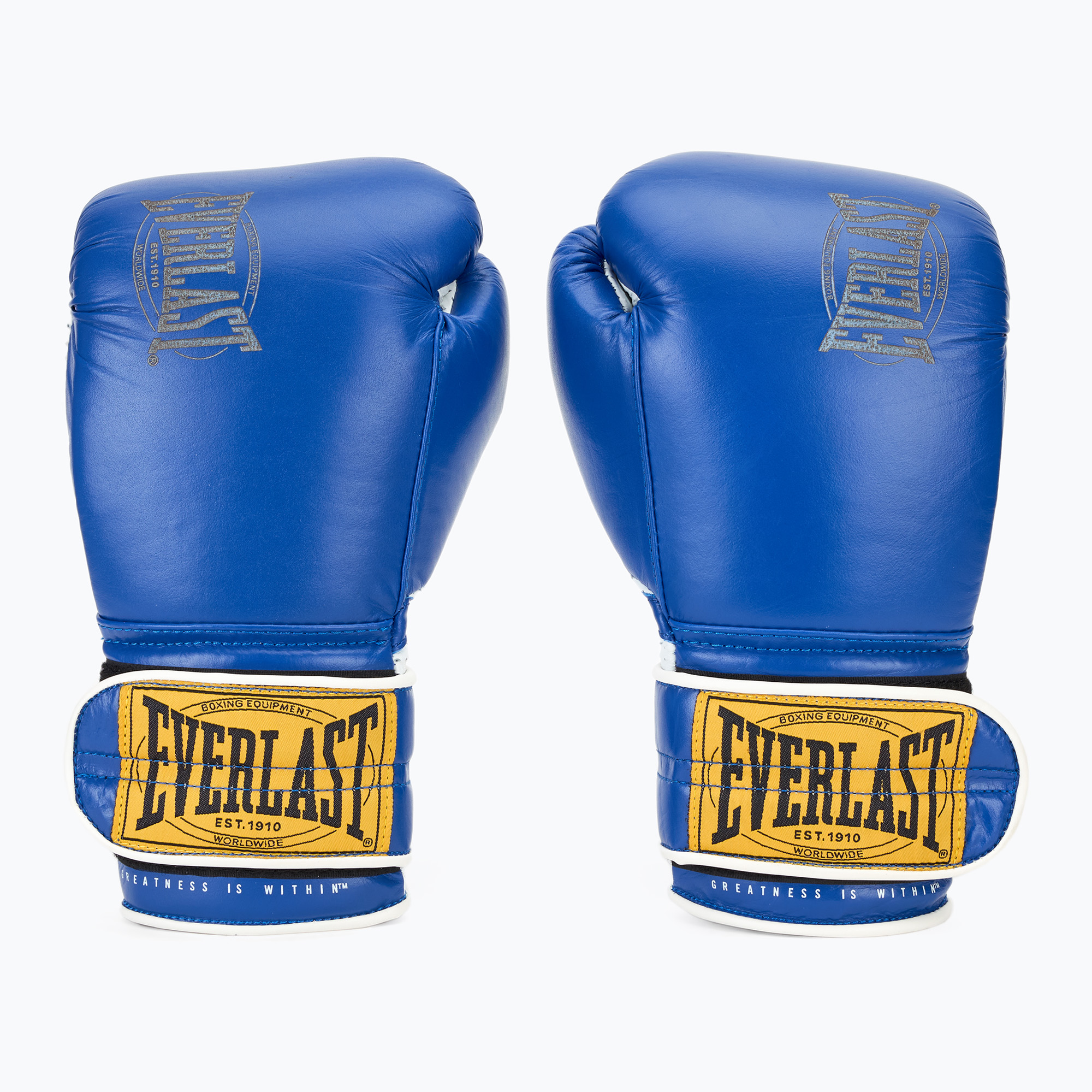 Everlast 1910 Classic Pro guantoni da boxe blu