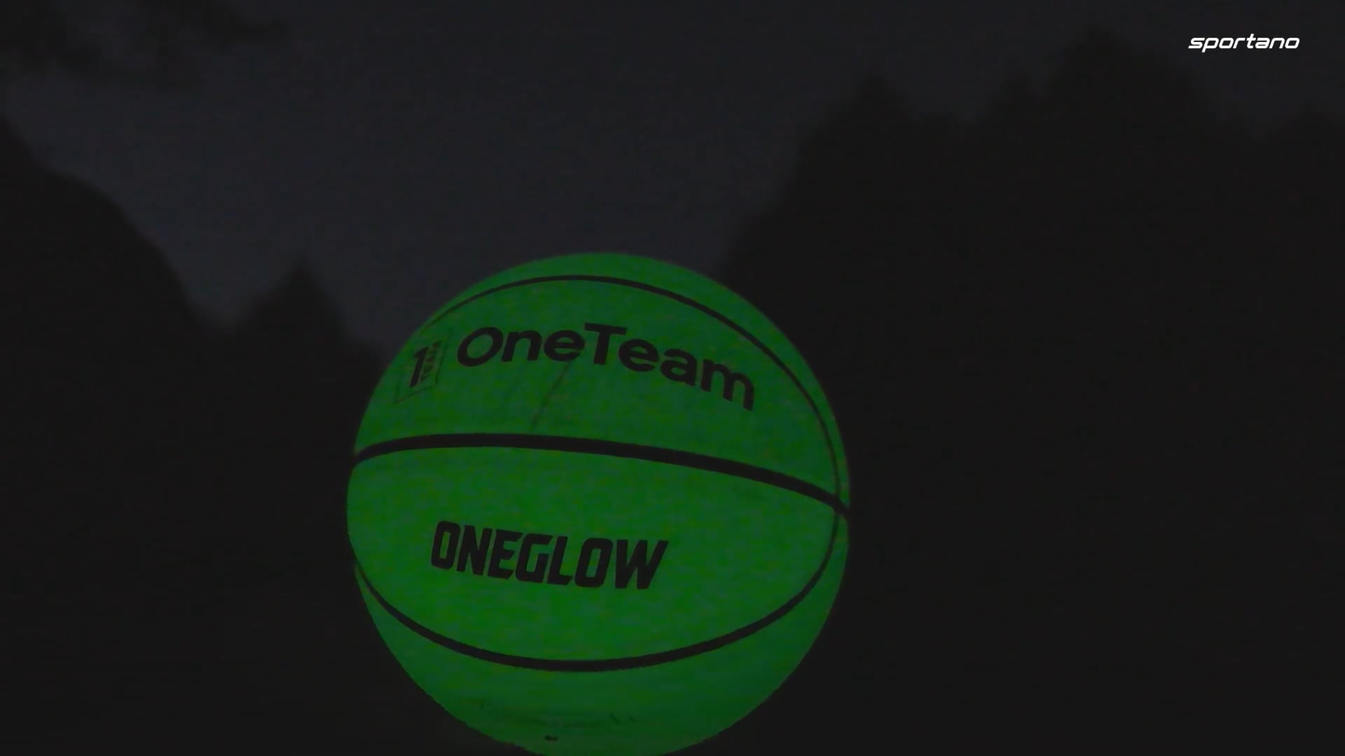 Pallacanestro OneTeam Nero luminescente