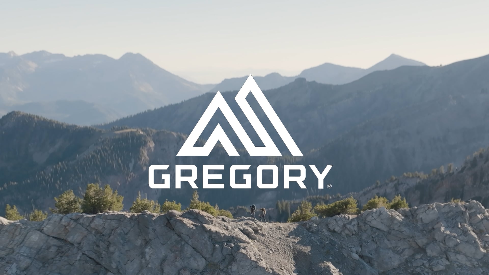 Zaino da trekking Gregory Paragon 48 l S-M basalto nero da uomo