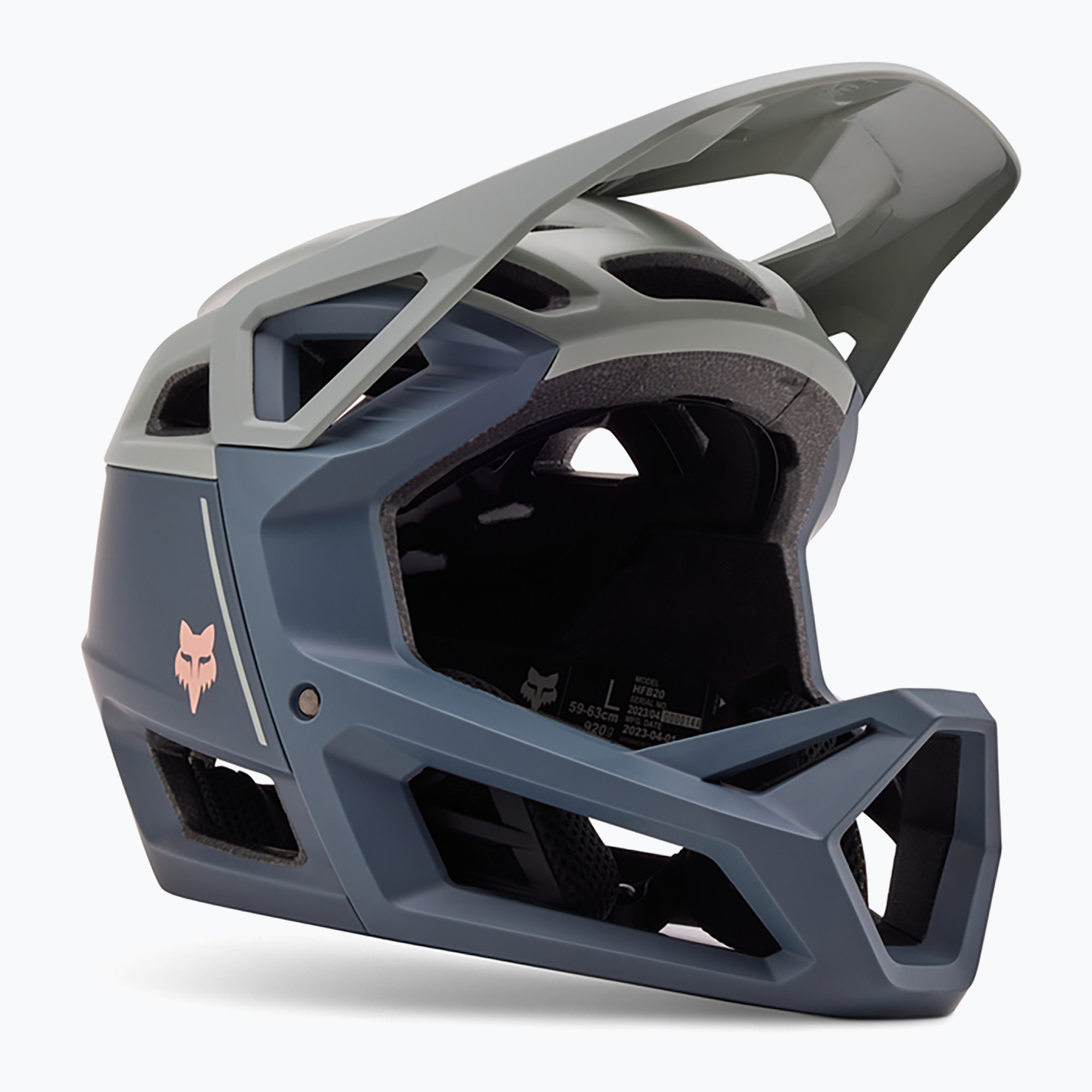 Fox Racing Proframe casco bici Clyzo grafite (59-63 cm (L)) (Proframe Clyzo 31469)