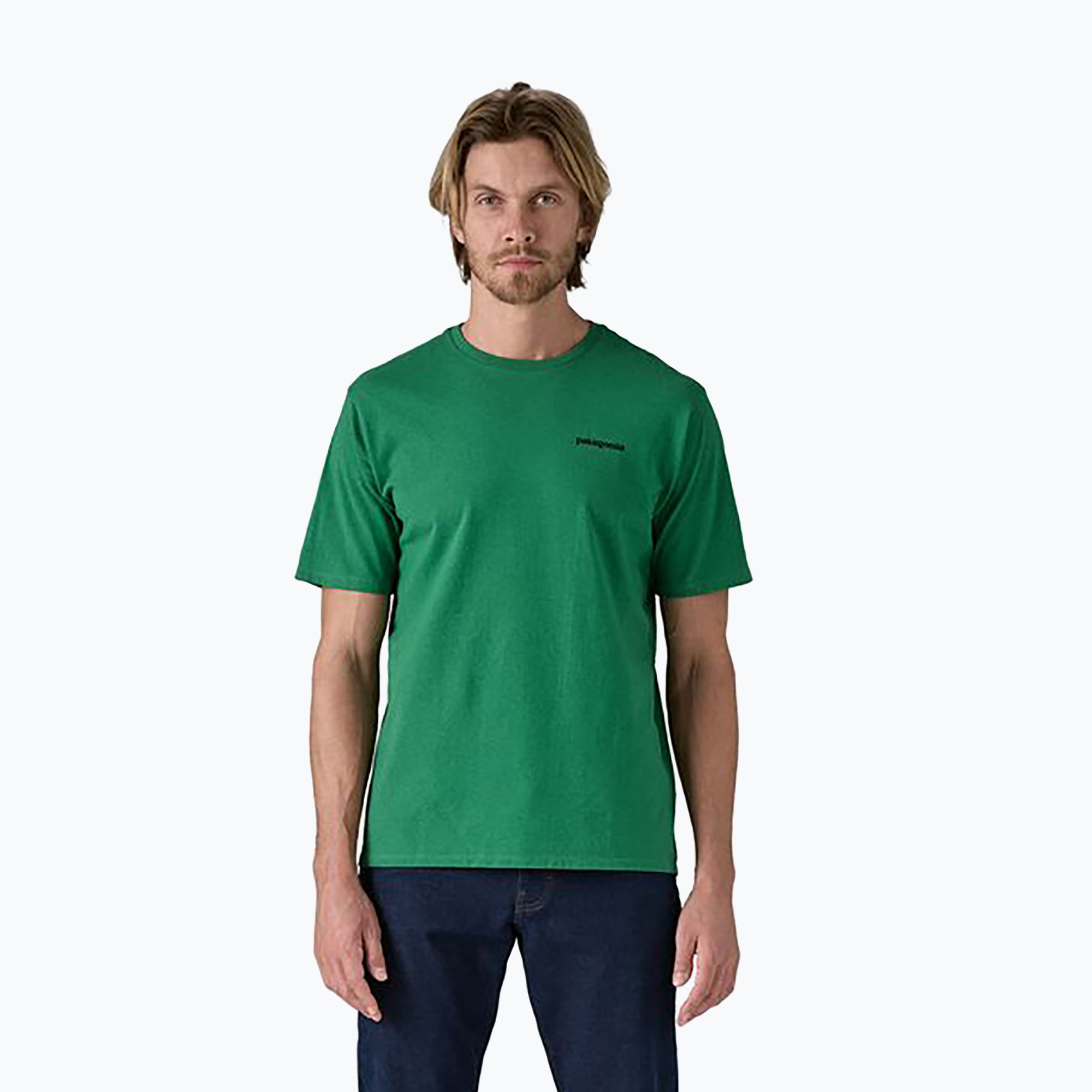 Maglietta da uomo Patagonia P-6 Logo Responsibili-Tee p-6 outline/heartleaf verde (S) (P-6 Logo Responsibili-Tee 38504)