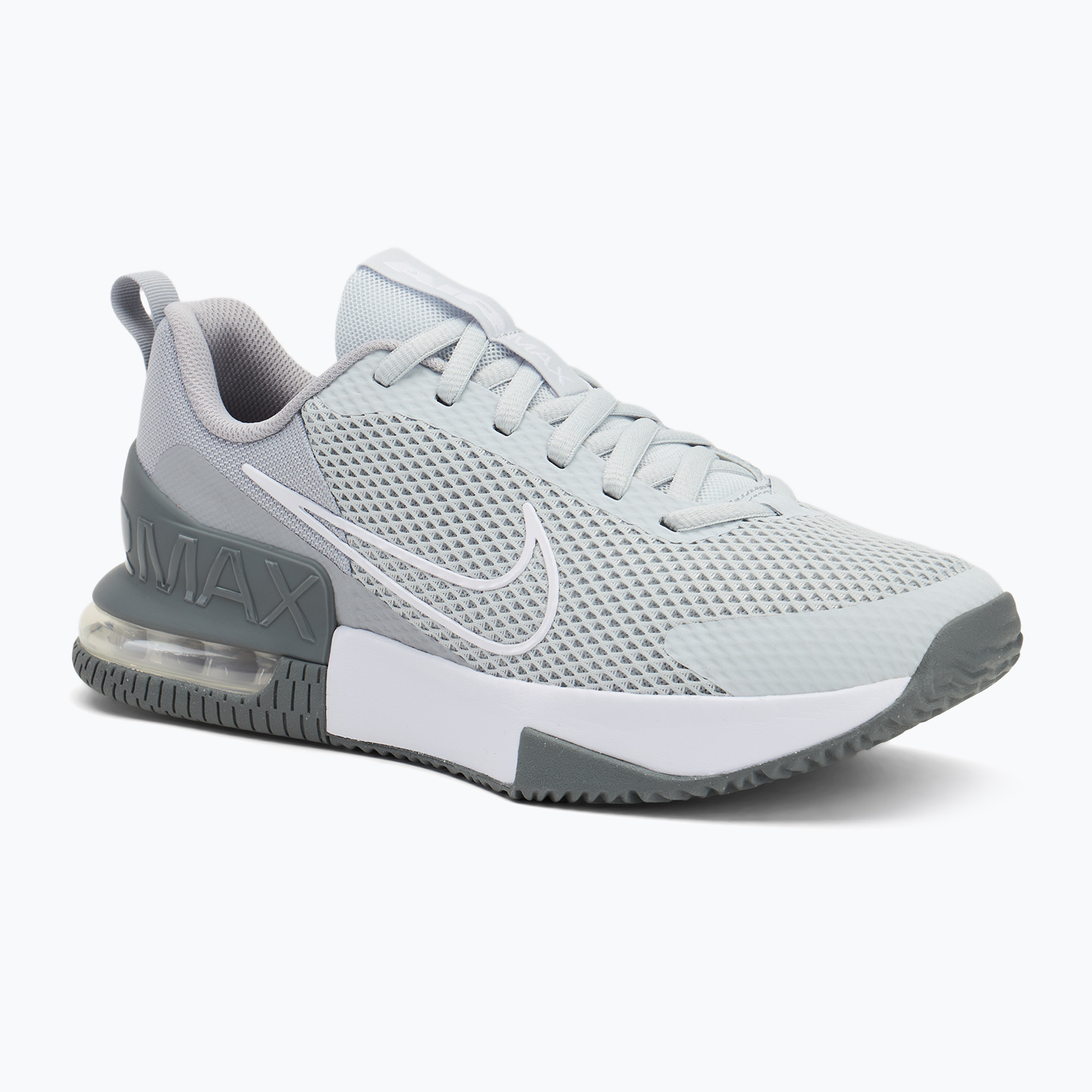 Scarpe da uomo Nike Air Max Alpha Trainer 6 cool grey/wolf grey/pure platinum/white (42 EU) (Air Max Alpha Trainer 6 FQ1833-002)