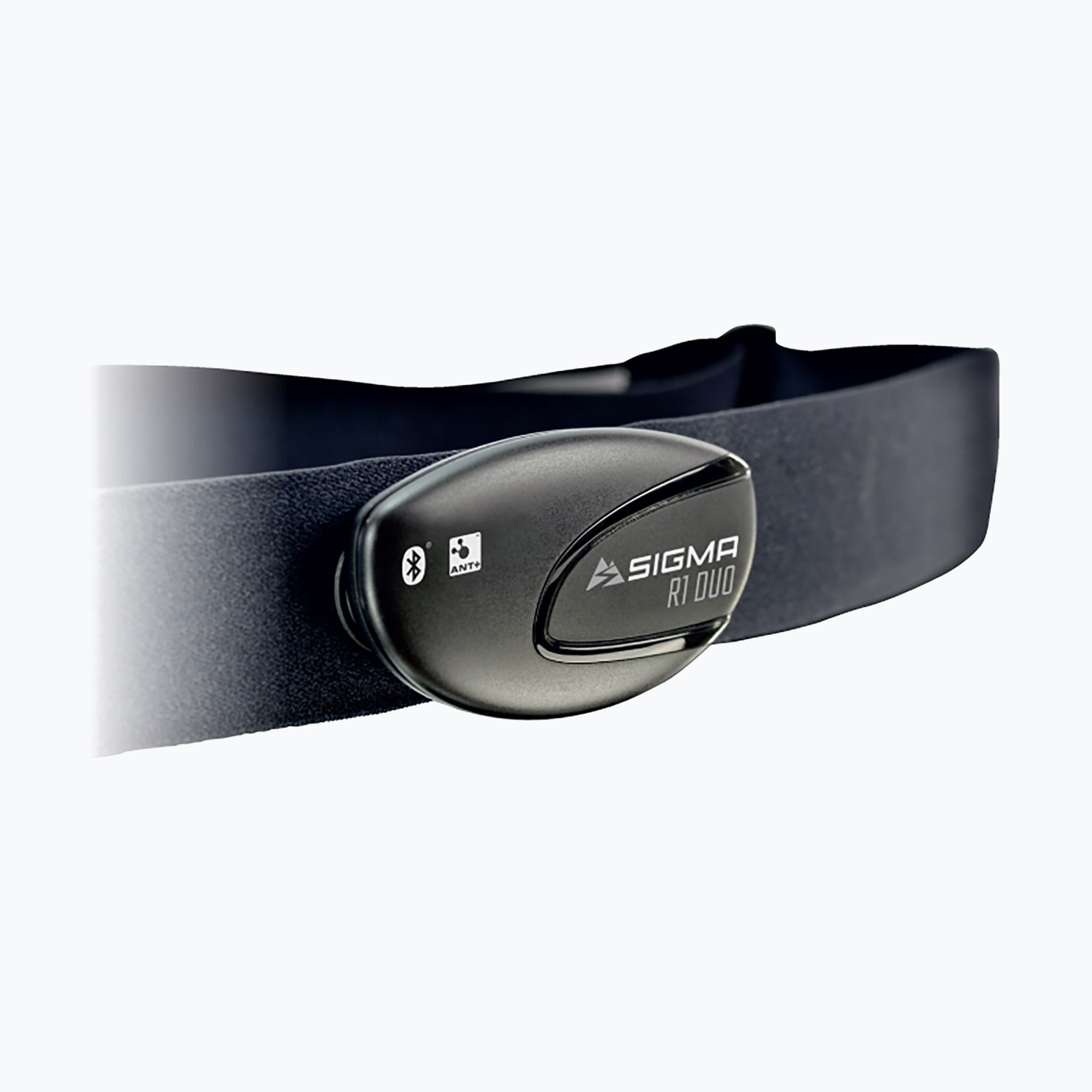 Sigma R1 Duo HR cardiofrequenzimetro + fascia toracica C+ per Rox
