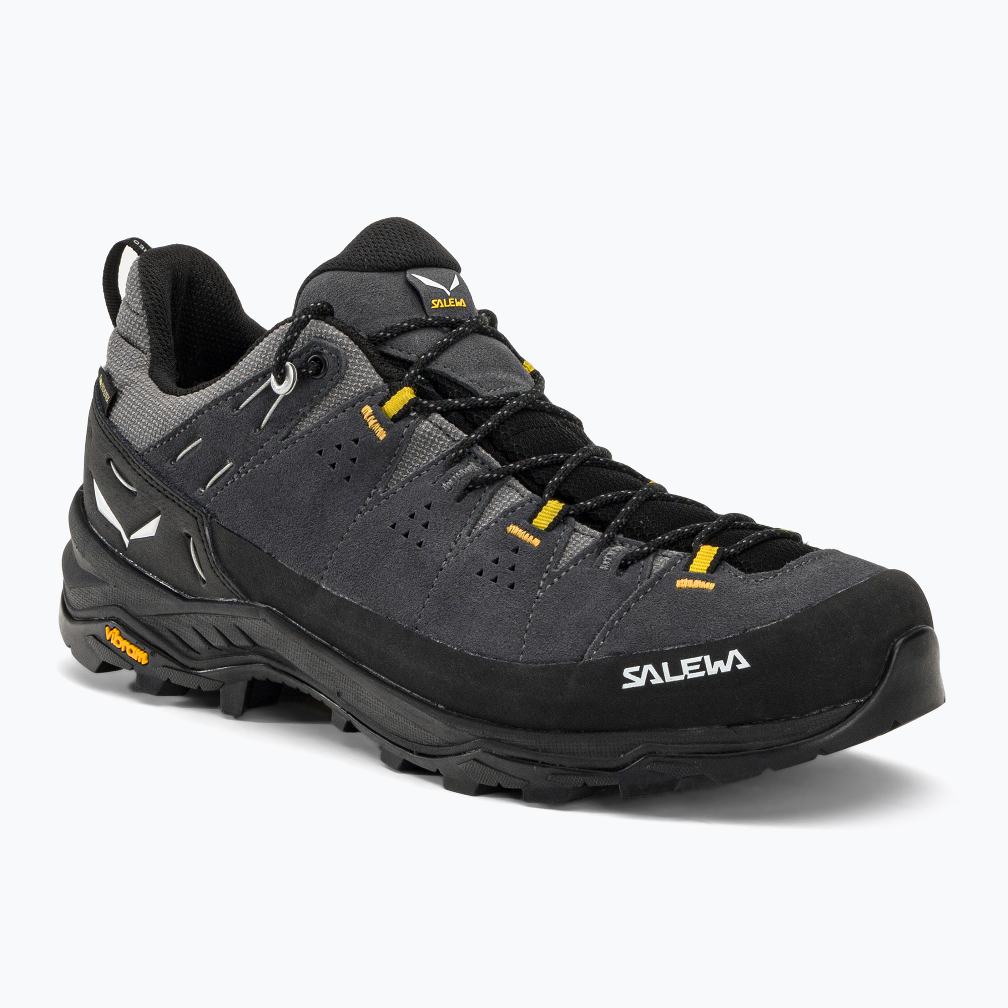 Scarpe da trekking da uomo Salewa Alp Trainer 2 GTX onyx/nero (42.5 (8.5 UK)) (Alp Trainer 2 GTX 00-0000061400)